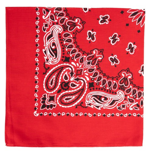 Rothco american paisley - rothco,