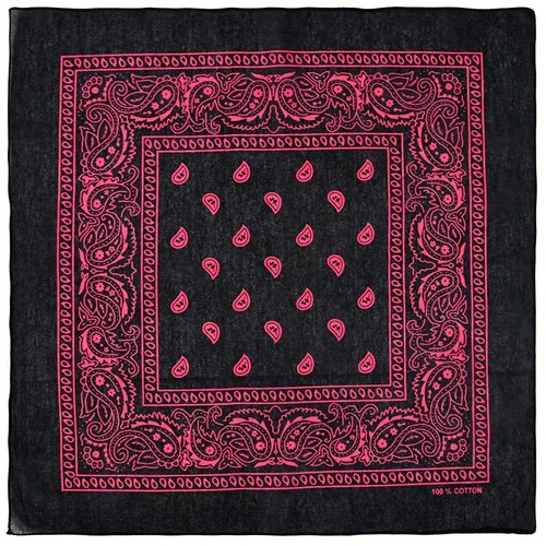 Bandana paisley neck - paisley, head