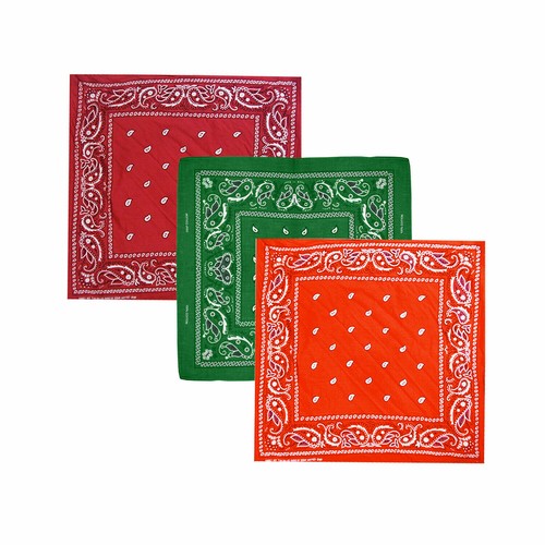 Bandana paisley neck - neck, head