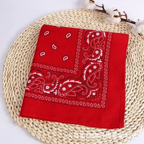 Bandana paisley neck head - paisley,