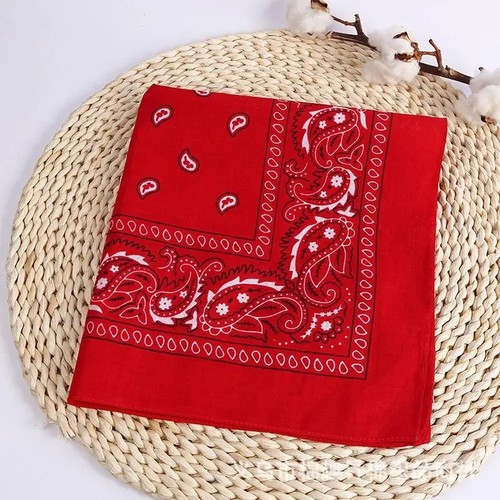 Bandana cotton paisley mouth - bandana,