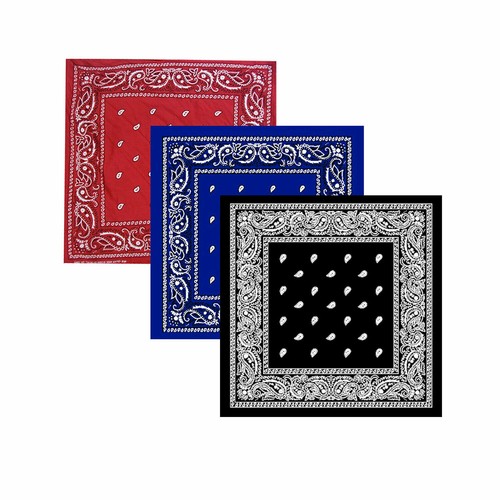 Bandana paisley neck head - bandana,