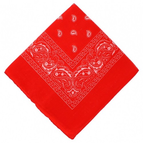 Bandana paisley print 100 - 2,