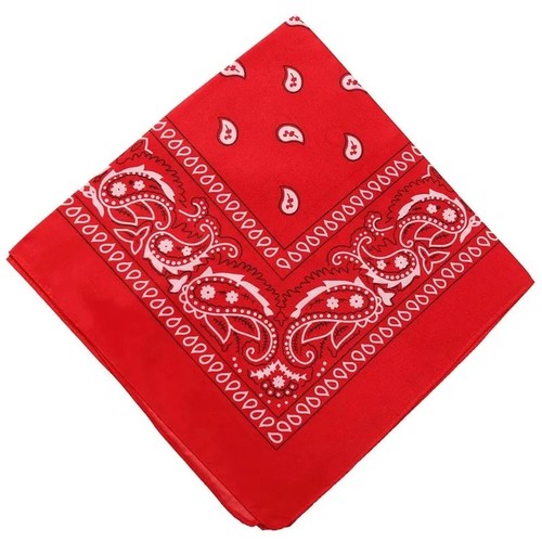 100 cotton paisley - paisley, bandana