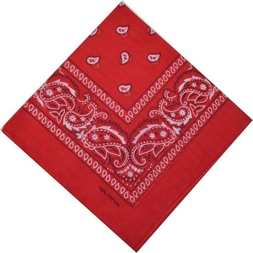 Bandana paisley print 100 - print, 100%