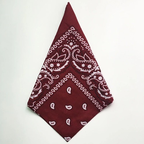 55x55cm 100 cotton paisley - 55x55cm, 100%