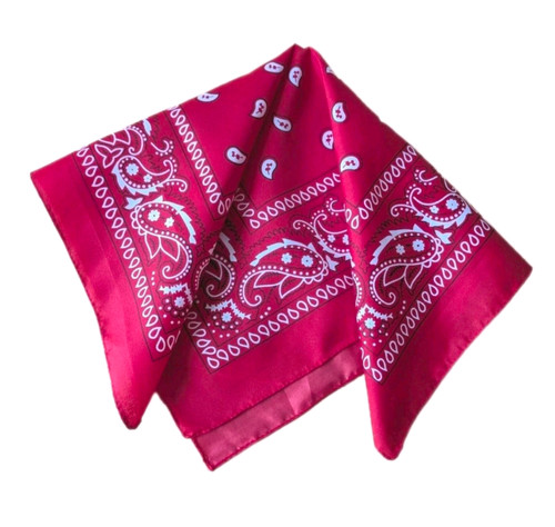 Paisley bandana 55cm - paisley, x