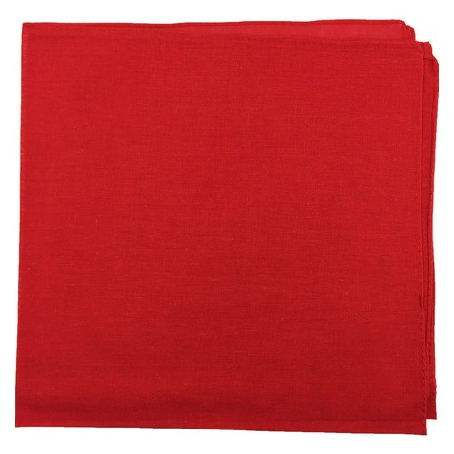 Paisley bandana biker head - paisley,