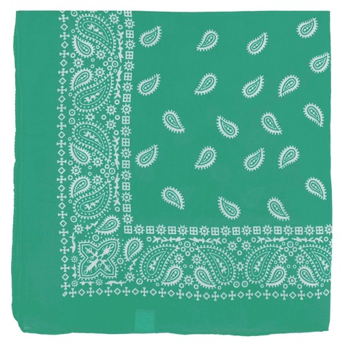 Extra large paisley - large,