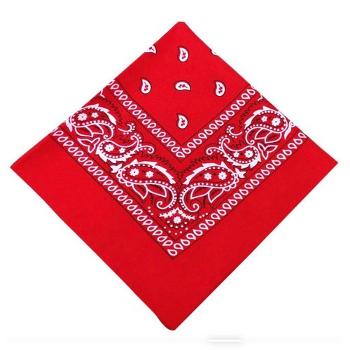 Bandana paisley neck - neck, head