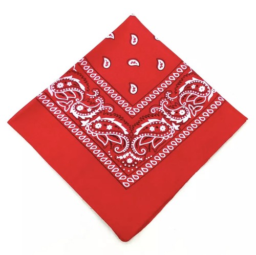 Bandana cotton paisley mouth - paisley,
