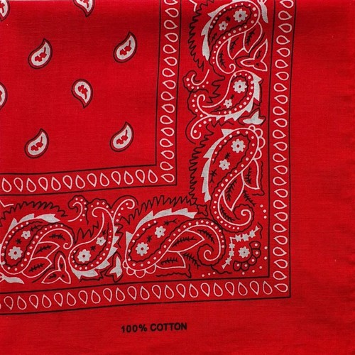 Paisley bandana scarf - paisley,