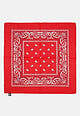 Bandana paisley neck - bandana, head