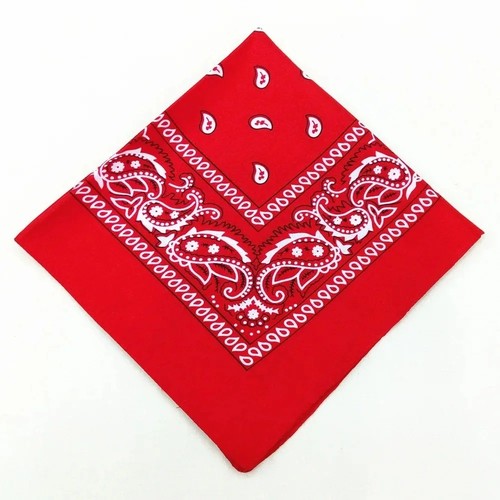 Bandana paisley print scarf - paisley,