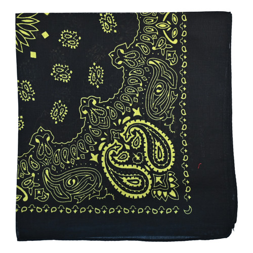 Red rose paisley bandana - rose,