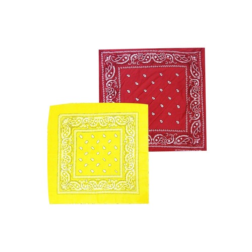 Bandana paisley mouth - bandana,