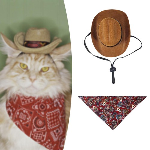 Pet cowboy costume cosplay - pet,
