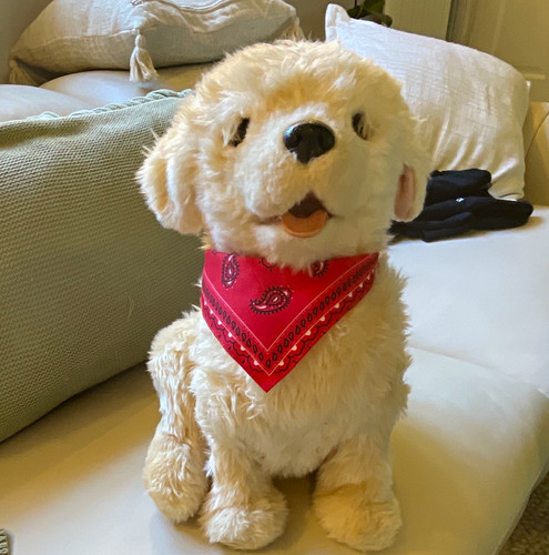 Joy for all robotic companion - -robotic,