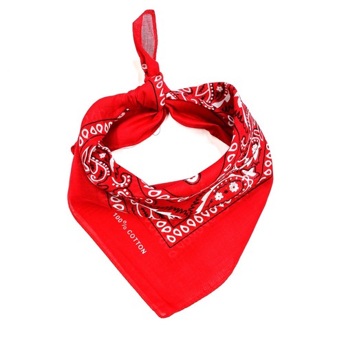 Woman festival bandana hair - bandana,