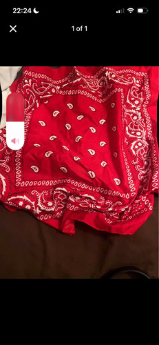Red white paisley - red,