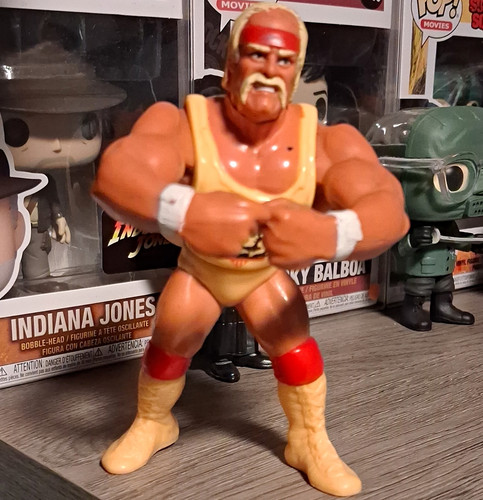 Hulk hogan wrestling action - hogan,