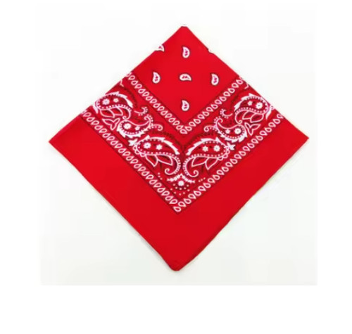 Bandana paisley print - paisley,