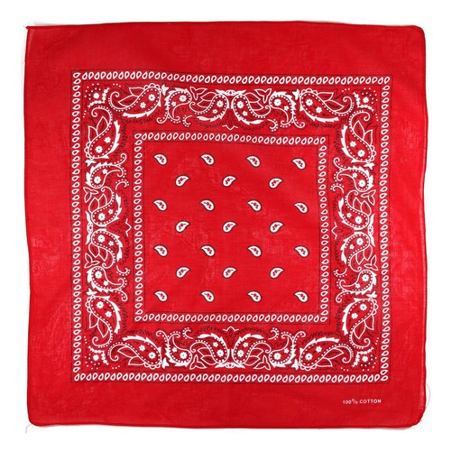 Paisley bandana face mask - bandana, neck