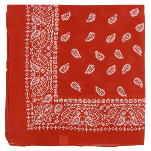 Extra large paisley - xl,