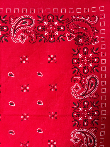 Red paisley cross - hatch, print