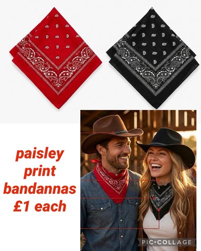 Cotton paisley bandana - bandana, scarf