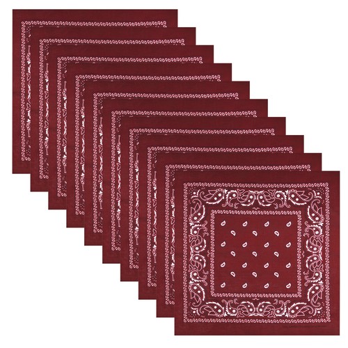 Pack paisley bandanas - paisley,