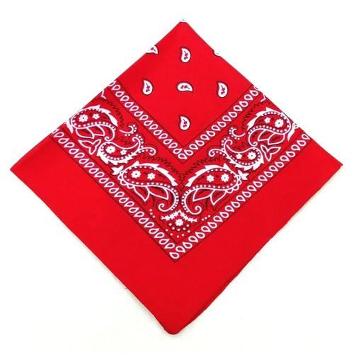 Bandana paisley print 100 - paisley, 100%