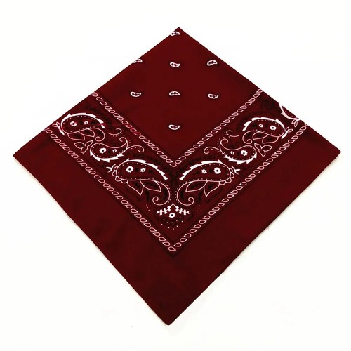 Extra large paisley - xl,
