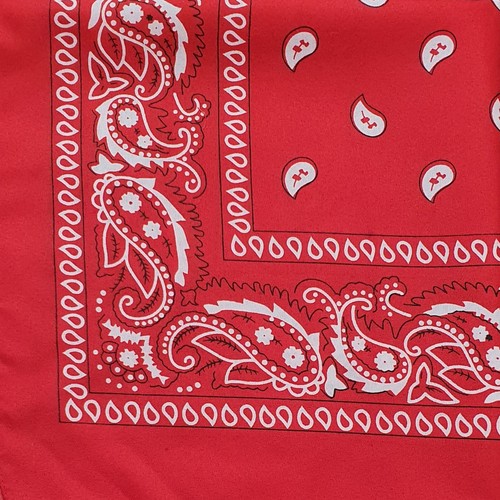 Paisley bandana scarf - bandana, headband