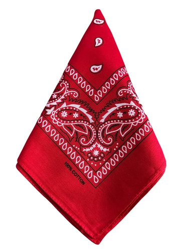 Bandana cotton paisley mouth - paisley,