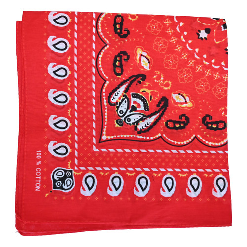 Paisley print men cotton - men's,