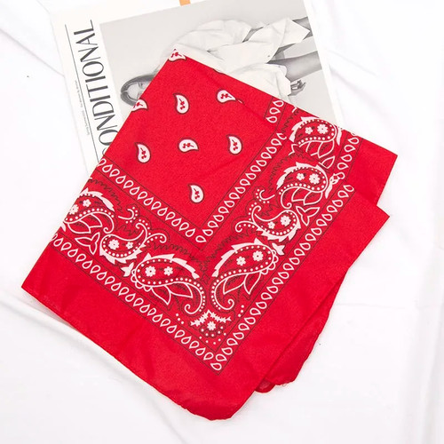 Bandana cotton paisley mouth - cotton,