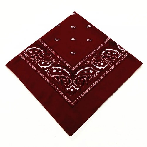 Bandana paisley mouth - paisley,