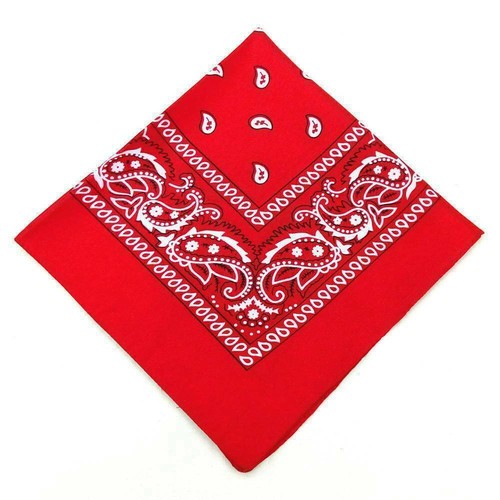 100 cotton paisley - cotton,