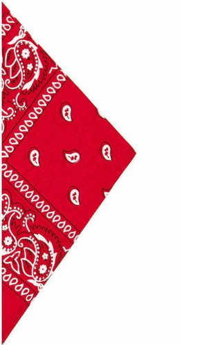 Bandana cotton paisley - paisley, mouth