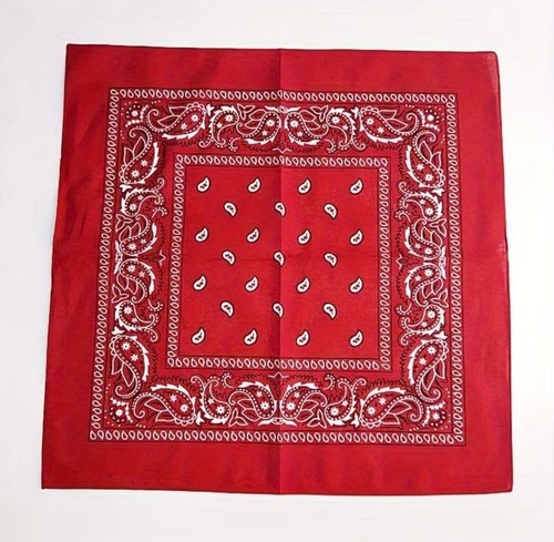 Bandana paisley neck head - paisley,
