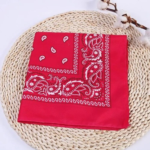 Extra large paisley - extra,