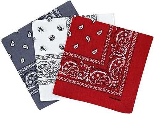 Pack cotton paisley - 3,