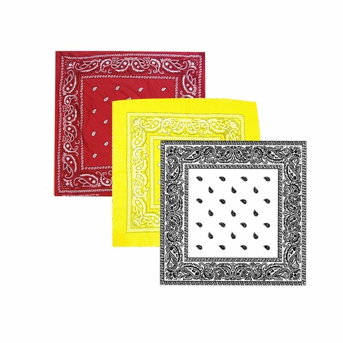 Bandana paisley mouth - bandana,