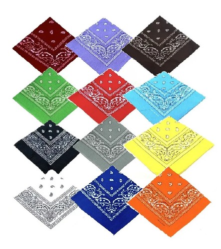 Bandana paisley mouth - paisley,