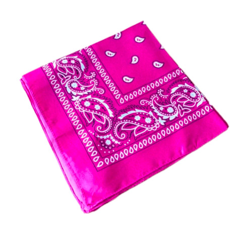 Paisley bandana 55cm - xl,