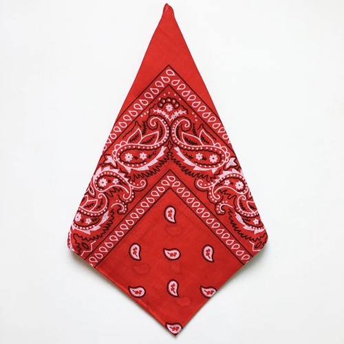Extra large paisley - xl,
