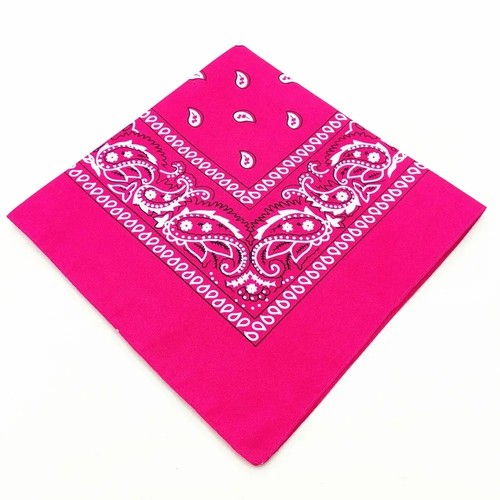 Bandana paisley neck head - bandana,