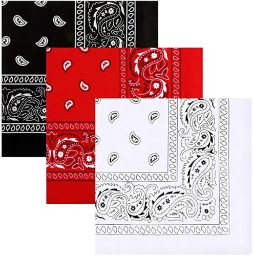 Paisley bandana pack - paisley, of