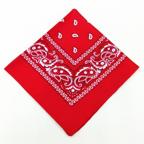 Bandana cotton paisley mouth - paisley,